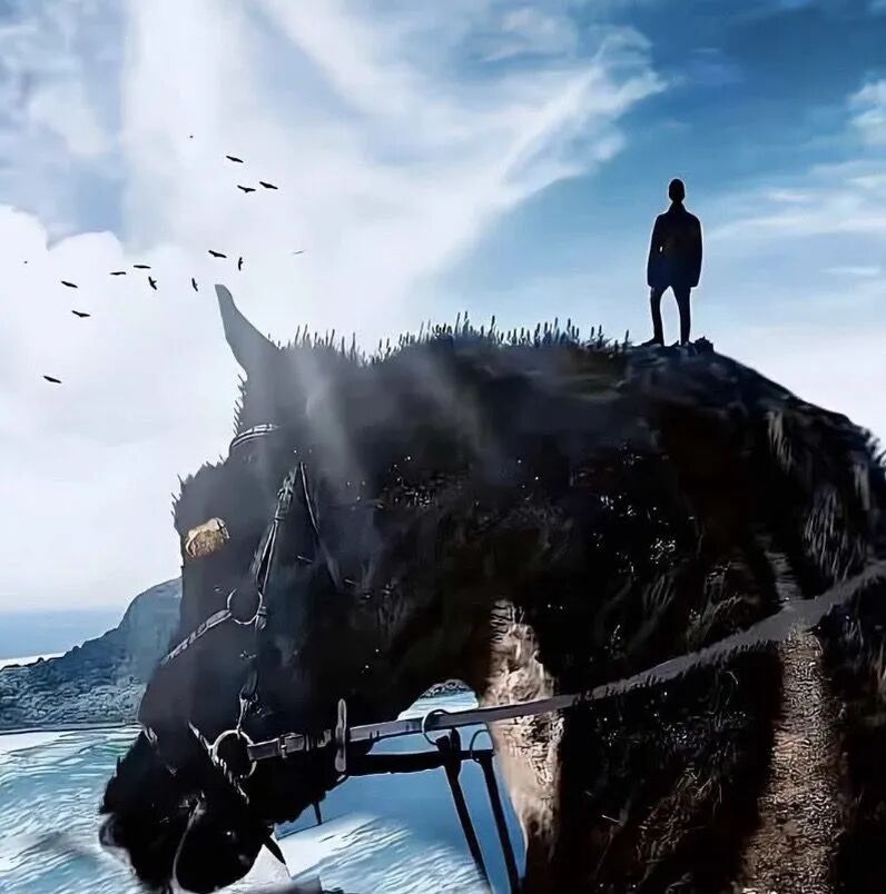 2026最新微信头像 - 流年网-流年似水的日子里-记录分享-生活-音乐-视屏-乐趣-资讯-网站-程序流年网