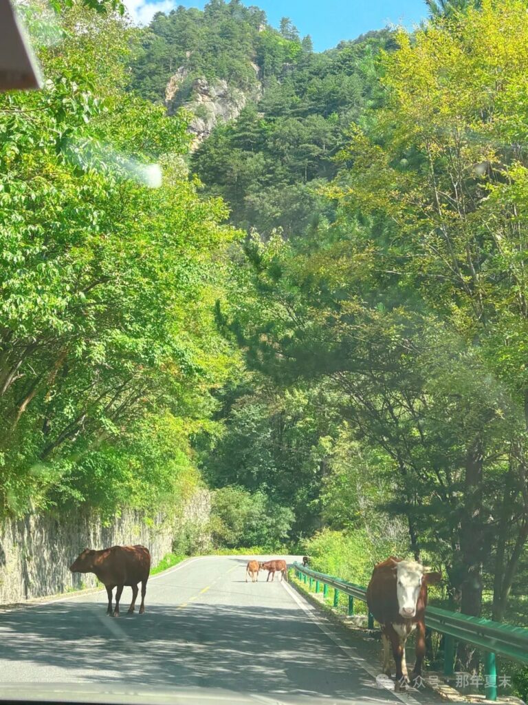 一念山河～